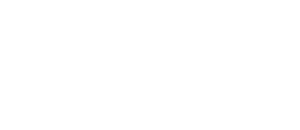 Texas Instrument